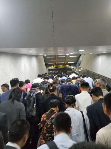 上海浩顺科技有限公司 祝浩 生活 13661729712