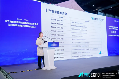 2024年世界互联网大会2013