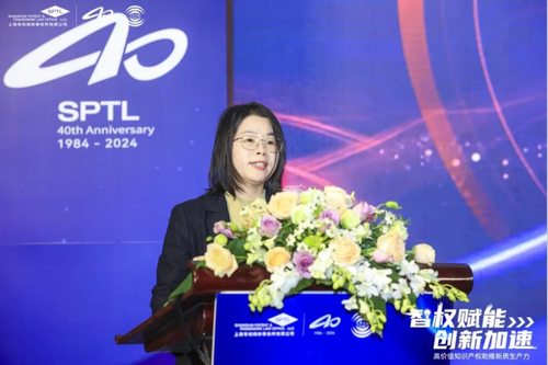 院党委副书记、院长孙真荣出席2024年第十八届企业知识产权保护研讨会1086