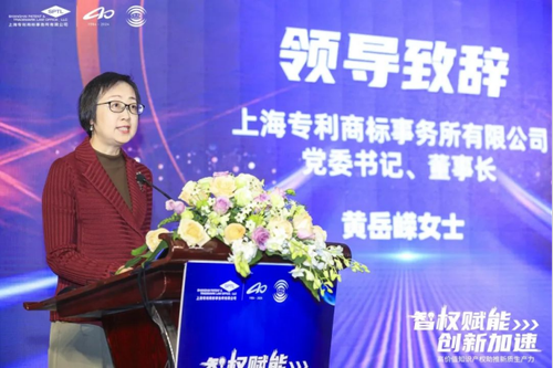 院党委副书记、院长孙真荣出席2024年第十八届企业知识产权保护研讨会1245